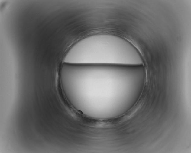 X0000115850109200911131134