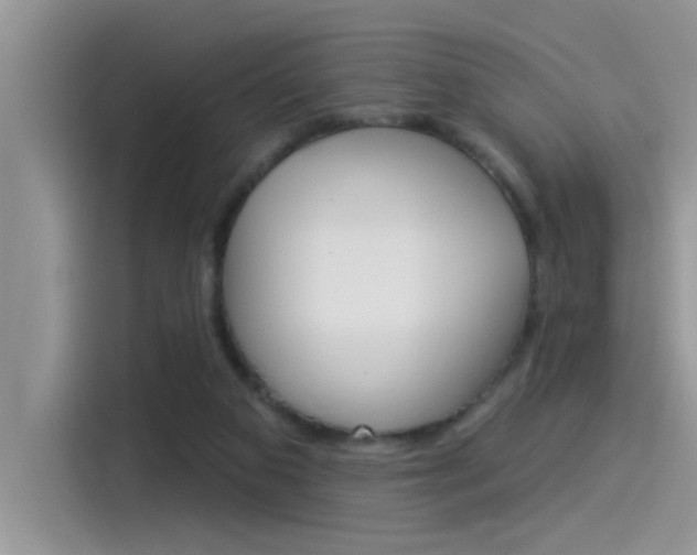 X0000115850113200911131134