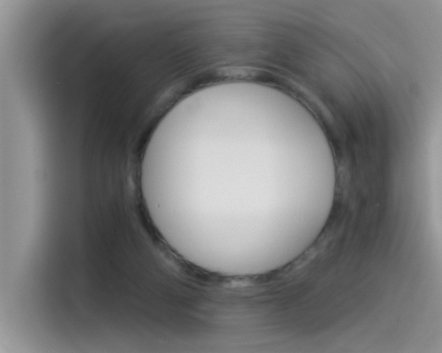 X0000115850114200911131134