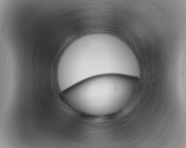 X0000115850116200911131134