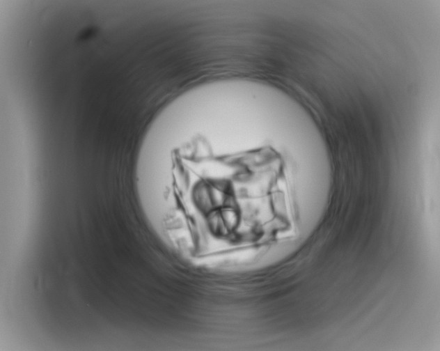 X0000115850117200911131134