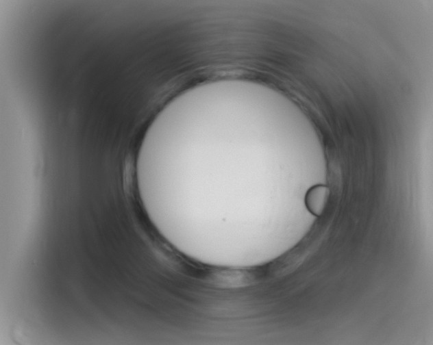 X0000115850118200911131134