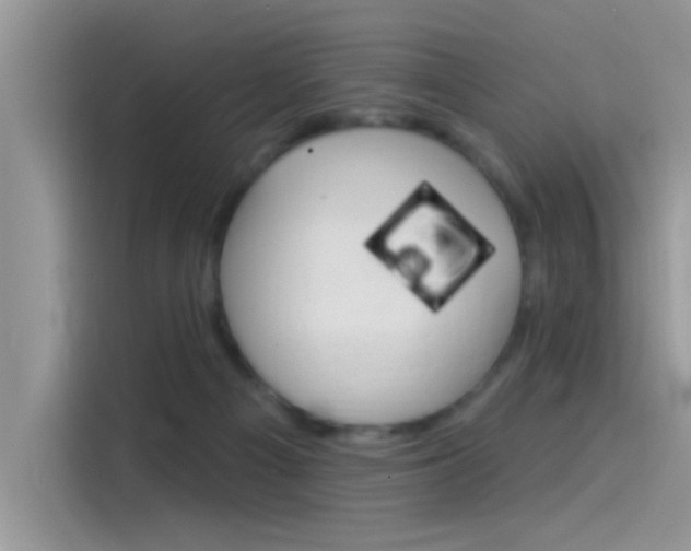 X0000115850121200911131134