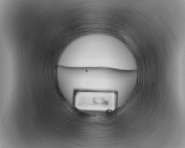X0000115850125200911131134