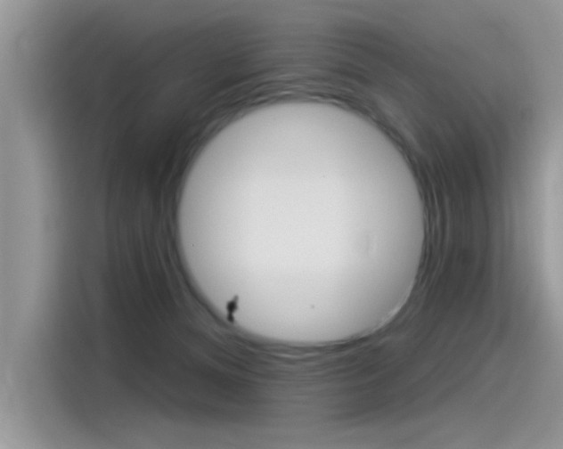 X0000115850128200911131134