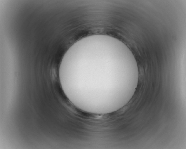 X0000115850130200911131134