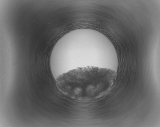 X0000115850135200911131134