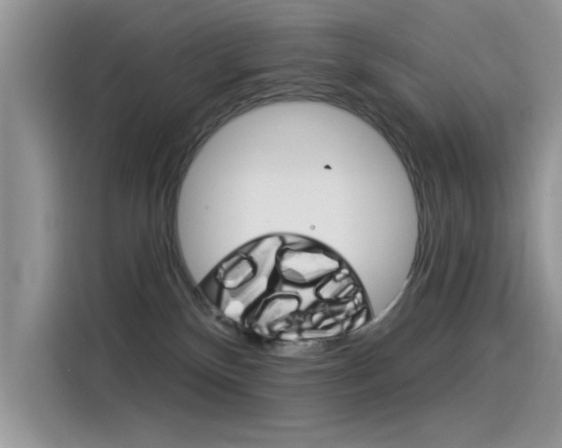 X0000115850136200911131134