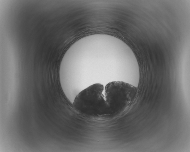 X0000115850139200911131134