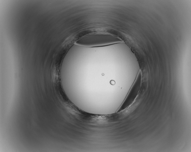 X0000115850140200911131134
