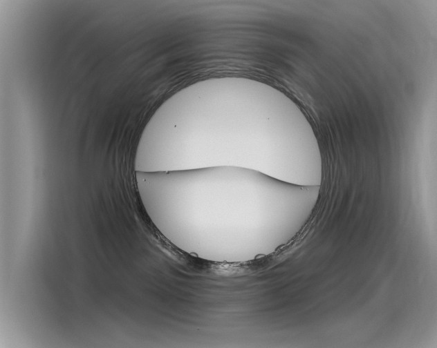 X0000115850141200911131134