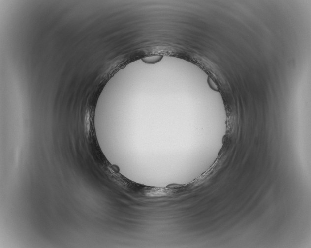 X0000115850142200911131134