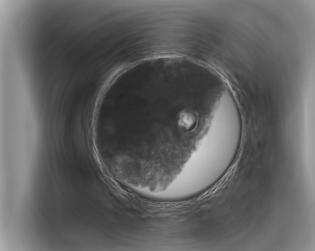 X0000115850145200911131133