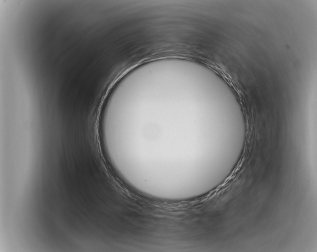 X0000115850146200911131133