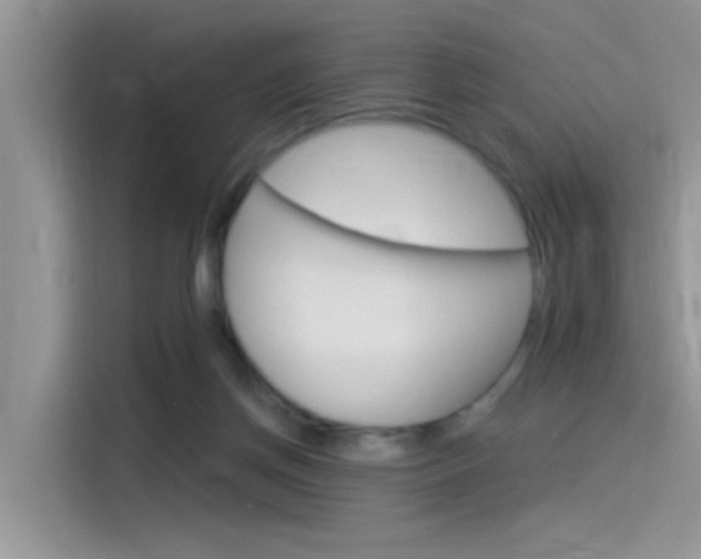 X0000115850166200911131133