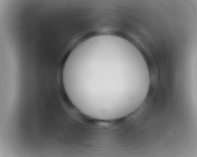 X0000115850167200911131133