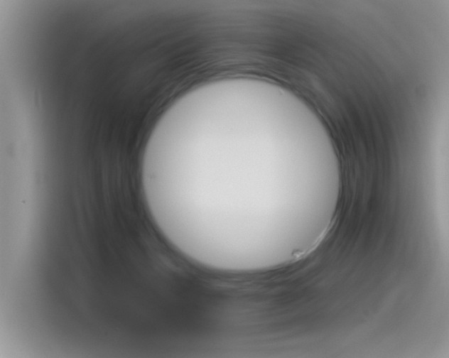 X0000115850175200911131134