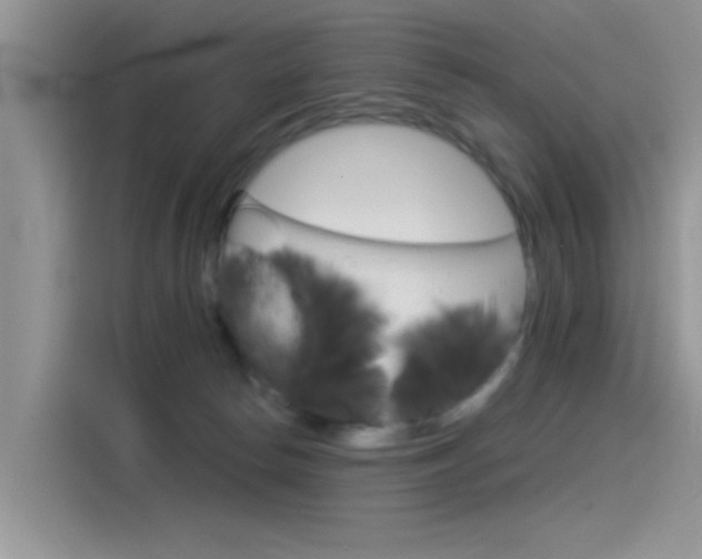 X0000115850178200911131134