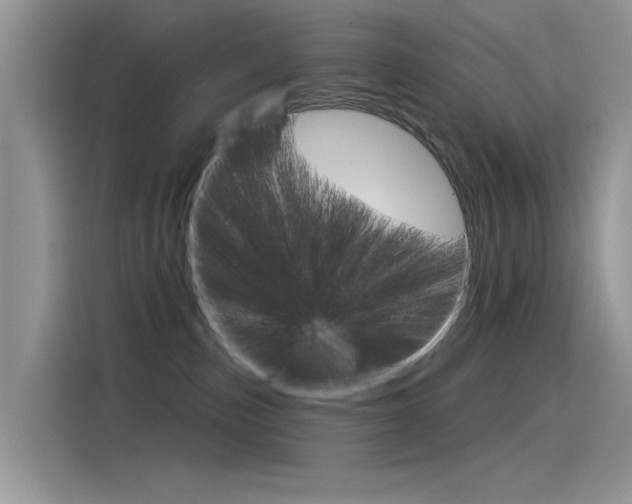 X0000115850187200911131134