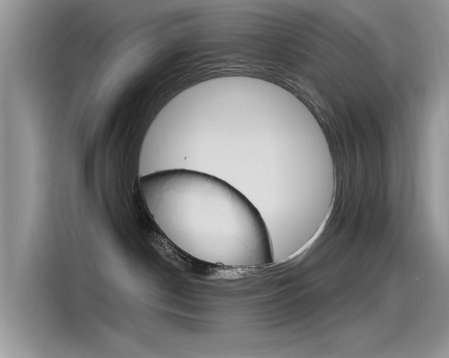 X0000115850190200911131134