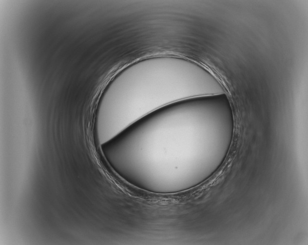 X0000115850193200911131133