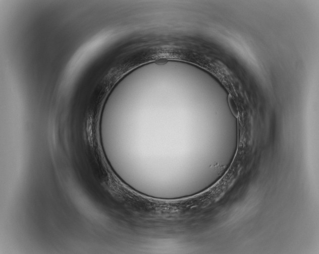 X0000115850195200911131133