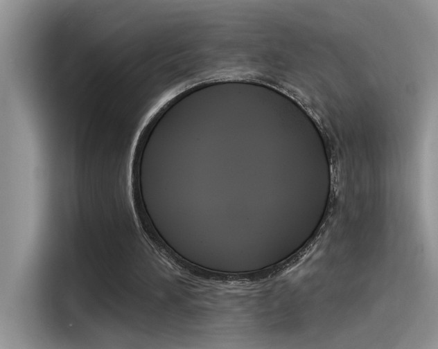 X0000115850196200911131133