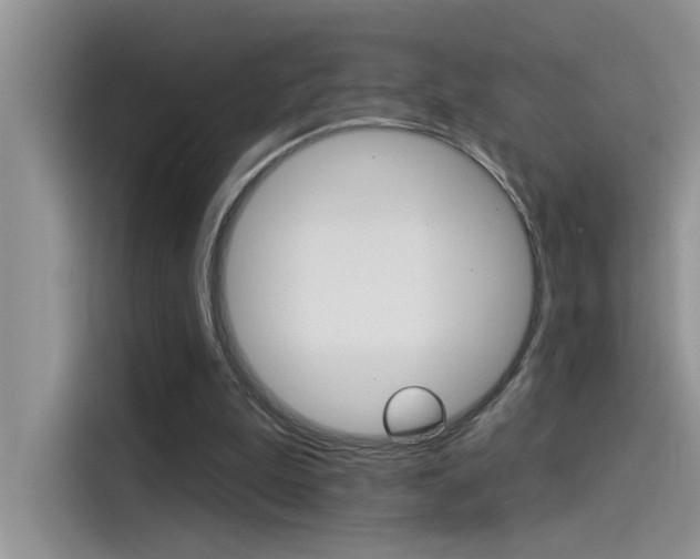 X0000115850199200911131133