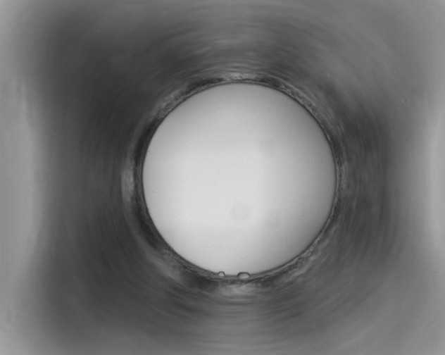 X0000115850202200911131133