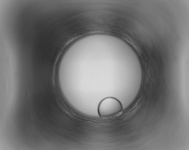 X0000115850203200911131133