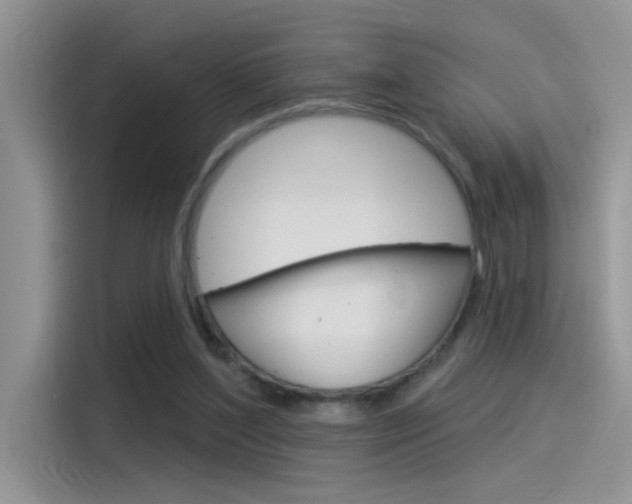 X0000115850204200911131133