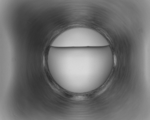 X0000115850205200911131133