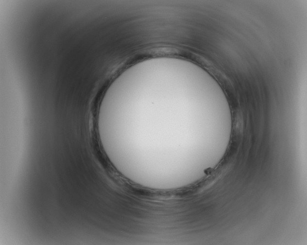 X0000115850206200911131133