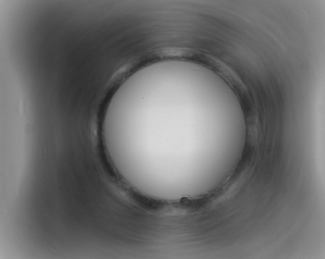 X0000115850207200911131133