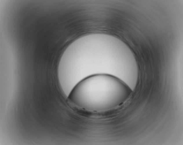 X0000115850211200911131133
