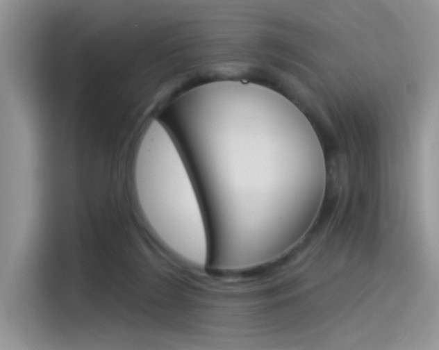 X0000115850212200911131133
