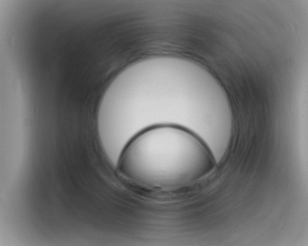 X0000115850215200911131133