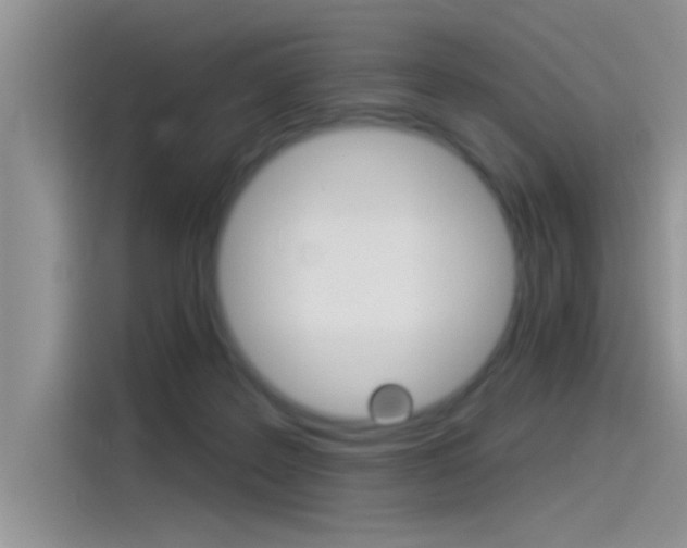 X0000115850219200911131133