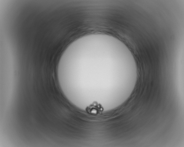 X0000115850225200911131133