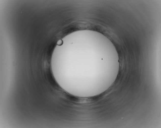 X0000115850226200911131133