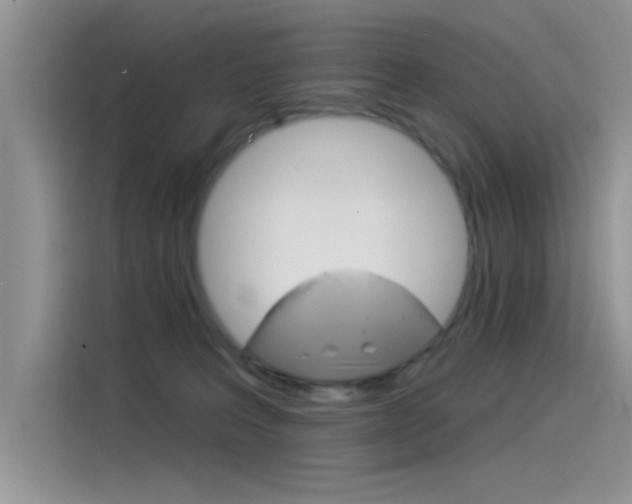 X0000115850227200911131133