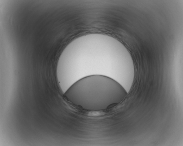 X0000115850231200911131133