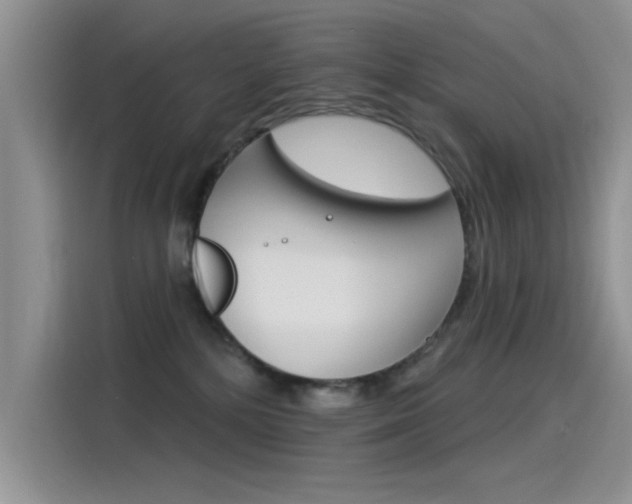 X0000115850232200911131133