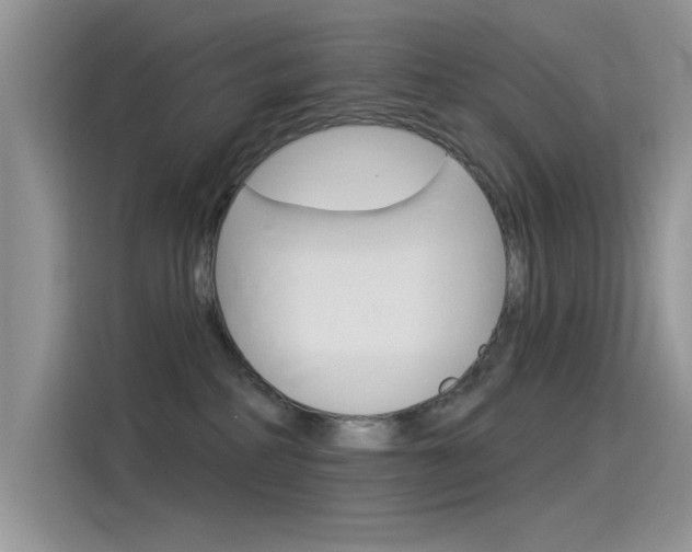 X0000115850234200911131133