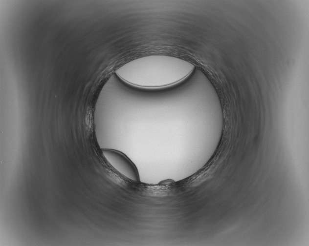 X0000115850240200911131133