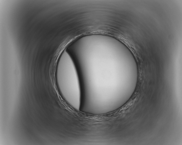 X0000115850241200911131132