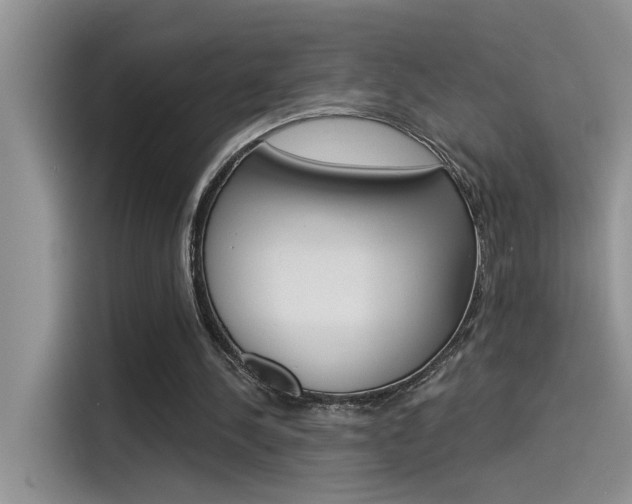 X0000115850244200911131132