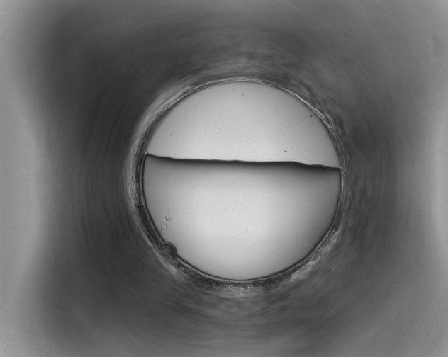 X0000115850245200911131132