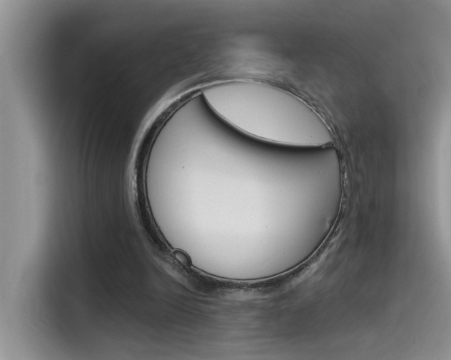 X0000115850246200911131132
