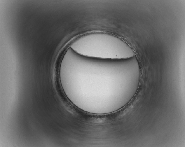 X0000115850247200911131132
